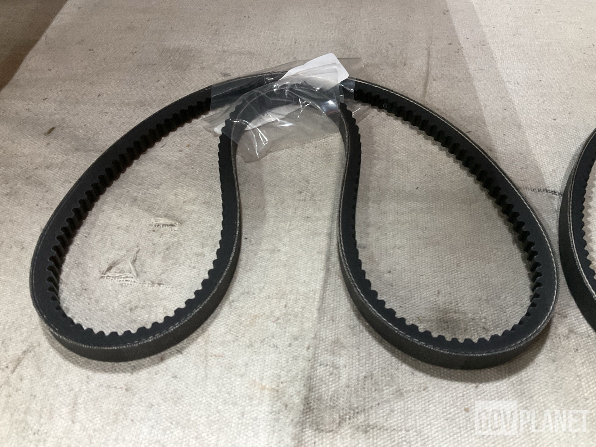 (74) Centreville 1G382-97011 Positive Drive Belts